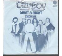 CITY BOY - WHAT A NIGHT 7 INCH (7" 45) DUTCH VERTIGO 1978