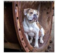 City dogs in the landscape park (Wall Calendar 2026 12" x 24" / 30 x 60 cm (aperto) Calvendo 12 Month Wall Calendar