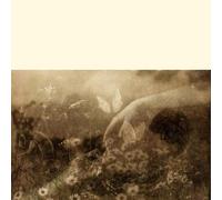 City of Dawn Invincible Summer (CD) Album