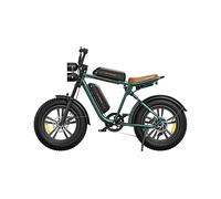 Citybike ENGWE M20 Doppia batteria