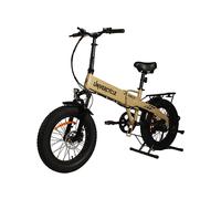 Citybike PVY B1 - Motore posteriore 350W, 624Wh, 45km, 20''