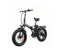 Citybike PVY B3 - Motore posteriore 350W, 624Wh, 45 km, 20''