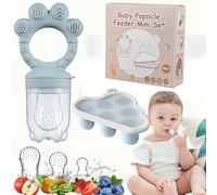Ciuccio Frutta Baby,Set Ciucci Per Bambini Alla Frutta,Ciuccio Frutta Silicone, 3 Misure Di Tettarelle, 1 Stampo Alla Frutta, 6 a 24 Mesi (Blu)
