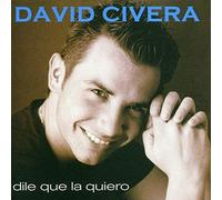 Civera David - Dile Que la Quiero