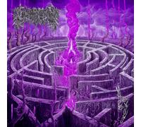 Civerous Maze Envy (CD) Album