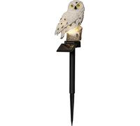 Star Trading - Illuminazione a celle solari - Decorazione a celle solari Gufo - Beige - 33 cm