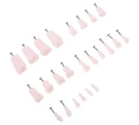 CIYODO 24 Pezzi Modello Tipodont Denti Rimovibili con Viti per Addestramento Completo e Pratica Didattica Modello Artificiale Denti Umani per Forniture Didattiche Dentistiche
