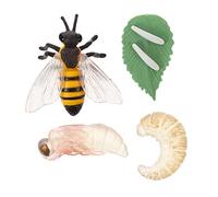 CIYODO Crescita Delle Api Set Di Modelli Miniatura Ape Esposizione Realistico Sicuro Durevole