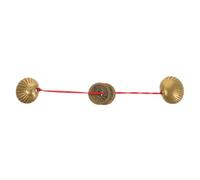 CIYODO Divinatorio Ottone con Monete Cinesi Decorazioni Feng Shui per Capodanno e con Guida all Interpretazione dei Segni