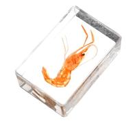 CIYODO Gamberetto in Materiale Sintetico Durevole Decorazione da Collezione Leggera e Portatile per Strumento Educativo Originale Design