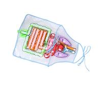 CIYODO Grembiule Didattico Organi Umani Per Ragazzo Ragazza Sussidi Didattici Per L'infanzia Per Insegnare L'anatomia Del Corpo Umano