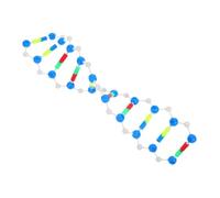CIYODO Modello Di Dna A Doppia, Strumento Didattico Per La Genetica, Per L'insegnamento Di Biologia E Scienze, Struttura Molecolare Per La Scuola E Il Laboratorio