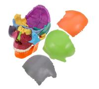 CIYODO Modello Skull Rimovibile Colorato per Studenti Anatomia Strumento Didattico per Studio e Comprensione Strutture Anatomiche per e Laboratori