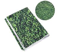 CIYODO Panno Fotografico Verde 1.8x2.5m Prato Sfondo in Vinile Props Fondale Fotografia Scena Oggetti Per Dilettanti E Professionisti