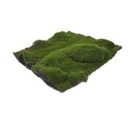 CIYODO Tappeto di Muschio Artificiale Muschio Finto per Chiuso e Paesaggi in Miniatura Tappeto di Prato Sintetico per Progetti Interni Ed Esterni