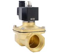 CJTWNBIO Elettrovalvola a solenoide elettrica in Ottone 220V 110V 24V 12V 1/2 "3/4" 1 "1-1/4" 2 "IP65 Impermeabile normalmente Chiusa 220V 110V 24V 12V(12VDC)