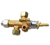 CJTWNBIO Valvola di Sicurezza for l'arresto Automatico del Gas, valvola di Protezione di Sicurezza Contro l'estinzione della Fiamma, valvola a termocoppia con Porta di Fuoco Pilota