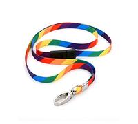 CKB LTD Arcobaleno cordini di sicurezza di agrave con gancio, multicolori, laccio da mettere attorno al collo con clip girevole in metallo, cordini divertenti, alla moda, multicolore 10 pezzi
