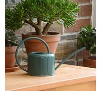 CKB LTD Piccolo annaffiatoio per interni da 1,1 l, in acciaio zincato verniciato a polvere, per piante da appartamento, design contemporaneo in metallo, con beccuccio stretto e manico alto (verde)