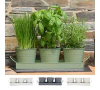 CKB LTD Set di 3 vasi per erbe aromatiche in metallo, vassoio antigoccia, per interni e davanzali, colorati, cucina, coltivazione erbe aromatiche