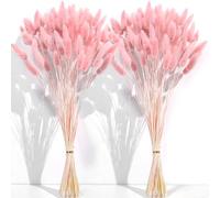 CKBT 120 bolle di fiori secchi rosa di erba della pampa 43,2 cm fiori secchi per la decorazione di erba della pampa fiori secchi rosa coda di coniglio decorazione