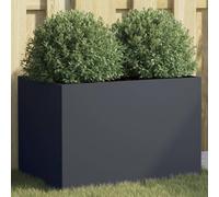 CKioict Porta piante da interno Vasi alti da esterno Fioriere da esterno grandi Fioriera Antracite 62x30x29 cm in Acciaio Per Piante,Fiori,Frutta e Verdura