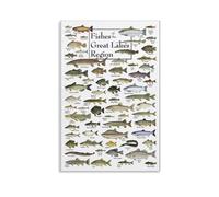ckklik Poster educativo da parete con pesci della regione dei Grandi Laghi Stampa artistica da parete Decorazione acquatica Grafico delle specie di pesci Natura Arte Marine Biologia Decorazione per la