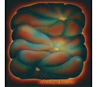 Claire Rousay A Softer Focus (Vinyl LP) 12" Album