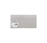 Clairefontaine 11589C - Pacco da 25 biglietti - Formato DL 10,6x21,3cm - 210g/m² - Colore Argento - Biglietti di invito e Corrispondenza - Gamma Pollen - Carta Premium Liscia