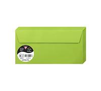 Clairefontaine 120017C - Pacco da 50 Buste autoadesive - Formato DL 11x22cm - 120g/m² - Colore verde Menthe -Inviti eventi e corrispondenza - Gamma Pollen - Carta Premium