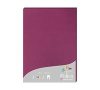 Clairefontaine 14206C - Astuccio da 50 fogli - Formato A4 (21x29,7cm) - 160g/m² - Colore fragola - Carta di Invito Eventi e Corrispondenza - Gamma Pollen - Carta Premium Liscia