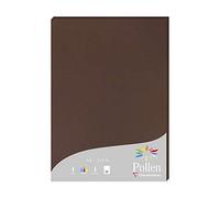 Clairefontaine 24202C - Astuccio da 25 fogli - Formato A4 (21x29,7cm) - 210g/m² - Colore Cacao - Inviti Eventi e Corrispondenza - Gamma Pollen - Carta Premium Liscia