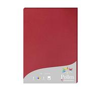 Clairefontaine 24212C - Astuccio da 25 fogli - Formato A4 (21x29,7cm) - 210g/m² - Colore ribes rosso - Inviti Eventi e Corrispondenza - Gamma Pollen - Carta Premium Liscia