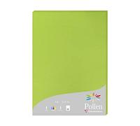 Clairefontaine 24215C - Astuccio da 25 fogli - Formato A4 (21x29,7cm) - 210g/m² - Colore verde menta - Inviti Eventi e Corrispondenza - Gamma Pollen - Carta Premium Liscia