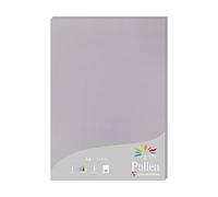 Clairefontaine 24232C - Astuccio da 25 fogli - Formato A4 (21x29,7cm) - 210g/m² - Colore Grigio Koala - Inviti Eventi e Corrispondenza - Gamma Pollen - Carta Premium Liscia