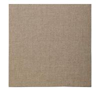 Clairefontaine 34149C - Cartone per dipingere con preparazione trasparente 40x40 cm, spessore 3 mm, tela naturale
