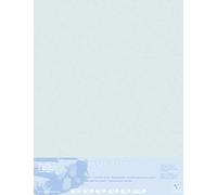 Clairefontaine 396020C Passepartout Pastelmat, 70 x 100 cm, 5 Fogli, Grigio Chiaro
