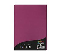 Clairefontaine 4206C - Astuccio da 50 fogli - Formato A4 (21x29,7cm) - 120g/m² - Colore Fragola - Inviti Eventi e Corrispondenza - Gamma Pollen - Carta Premium Liscia