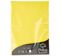 Clairefontaine 4217C - Astuccio da 50 fogli - Formato A4 (21x29,7cm) - 120g/m² - Colore giallo sole - Inviti Eventi e corrispondenza - Gamma Pollen - Carta Premium Liscia
