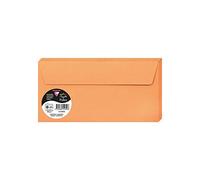 Clairefontaine 5495C - Pacco da 20 Buste autoadesive - Formato DL 11x22cm - 120g/m² - Colore mandarino -Inviti Eventi e Corrispondenza - Gamma Pollen - Carta Premium Liscia
