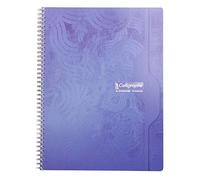 Clairefontaine 560C Calligraphe - Quaderno rilegato a spirale (90 fogli), 24 x 32 cm, rigatura a quadretti, carta pergamena superfine da 70 g/m², colori assortiti (confezione da 5)