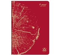 Clairefontaine 684663C quaderno A4 21x29,7cm 96p righe 90g ricicl. rosso