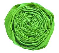 Clairefontaine 901050C Carta Crespa, Verde Impero, 10 Pezzi