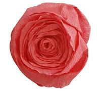 Clairefontaine 903039C - Pacco da 10 fogli di Carta Crespa - Colore Salmone - Formato 2,50x0,50m - lavori carta crespatura 60% - Elastica e Resistente - hobby creativo, Bricolage e Attività Manuali