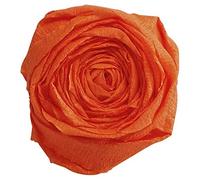 Clairefontaine 903058C - Pacco da 10 fogli di Carta Crespa - Colore arancione - Formato 2,50x0,50m - lavori carta crespatura 60% - Elastica e Resistente - hobby creativo, Bricolage e Attività Manuali