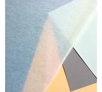 Clairefontaine 93477C Carta Cristal Pergamine - 20 Fogli di carta Morbida leggermente Trasparente - 73x101 cm 45g - Ideale per proteggere i Disegni