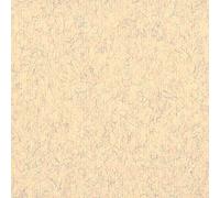 Clairefontaine 93504C Confezione Ingres-Pastello, 50 x 65 cm, 25 Fogli, Beige Marmorizzato
