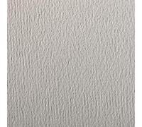 Clairefontaine 93781C Pacchetto Fogli Carta Etival, 65.5 x 50.1 x 0.7 cm, Grigio Chiaro