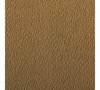 Clairefontaine 93877C - Pochette carta da disegno colorata Etival Color, doppia grana, 25 fogli 21x29.7 cm 160 g, avana