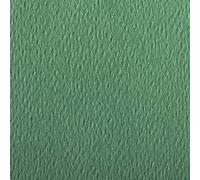 Clairefontaine 93878C - Pochette carta da disegno colorata Etival Color, doppia grana, 25 fogli 21x29.7 cm 160 g, verde scuro